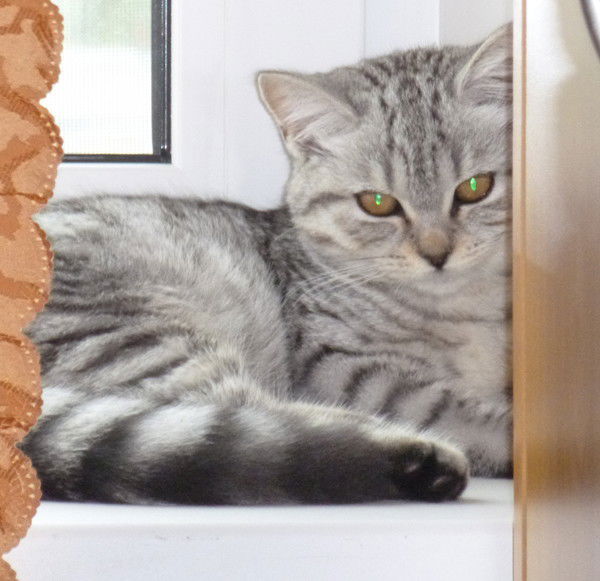 Юлия Берсенева