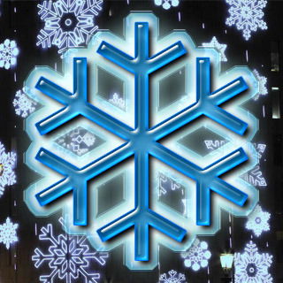 Владимир Снежко