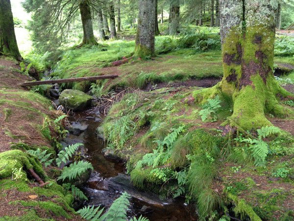 Марина Кузняткина