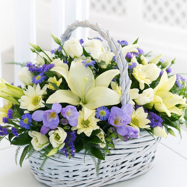 Динара Зейнел