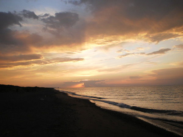 Зарина Берикова