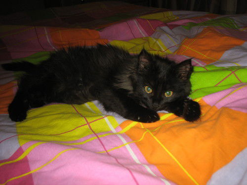 Екатерина Терехова