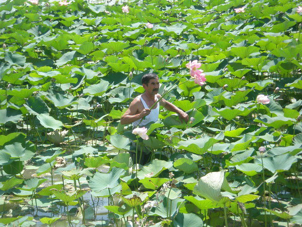 Калиев Марат