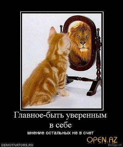 Арман Турмаганбетов