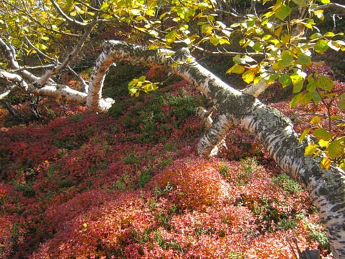 Ольга Ольга