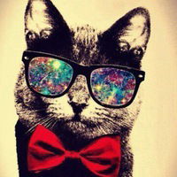 Рома Яковлев