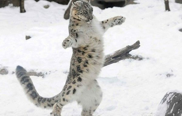 Злата Матвеева