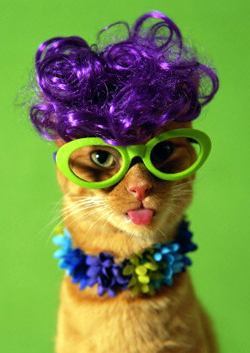 Юлия Судьина