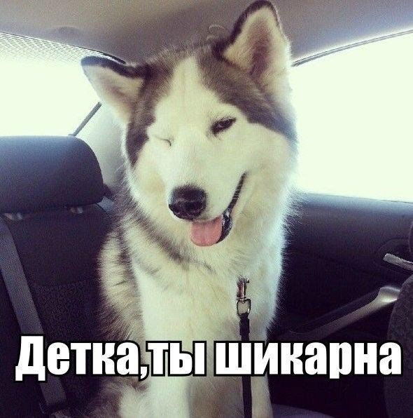 Булебаев Ерлан