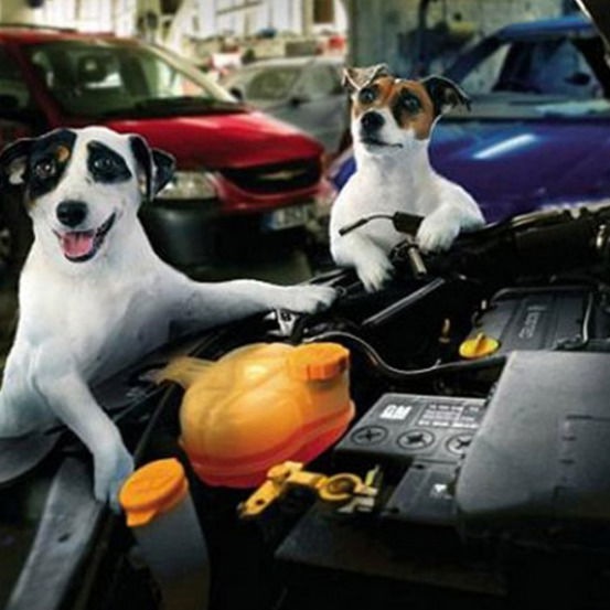 Дмитрий Петухов