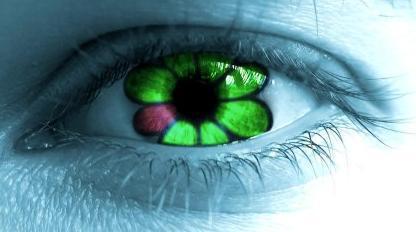 Максим Ивкин