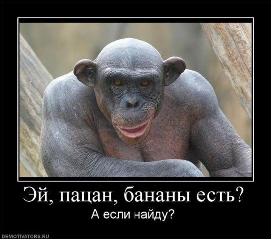 ))))))))) Дмитрий