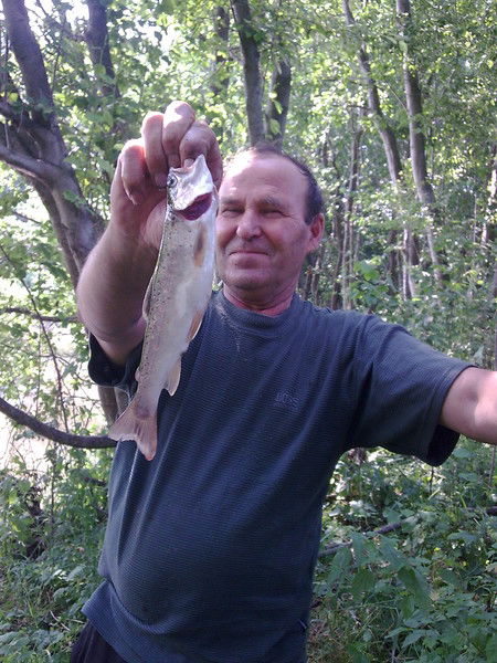 Александр Кривошеин