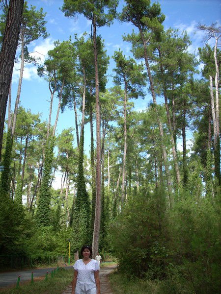 Ирина Шишкина