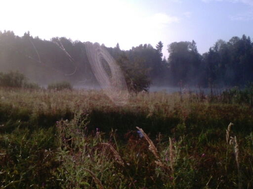 Юрий Дворцов