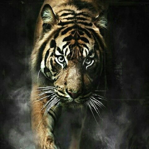 Сергей Алашников