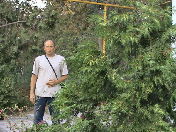 Олег Ренько