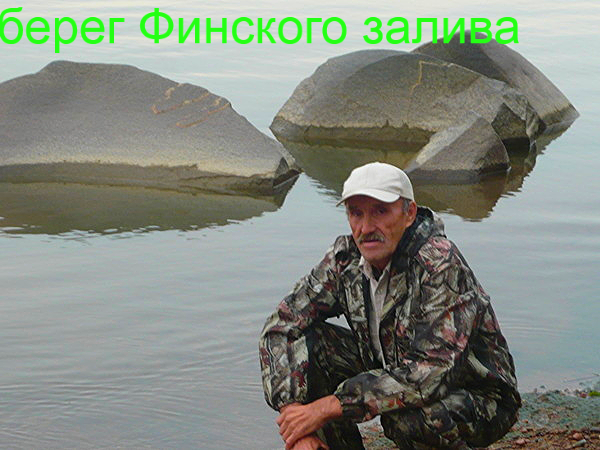 Владимир Капральцев