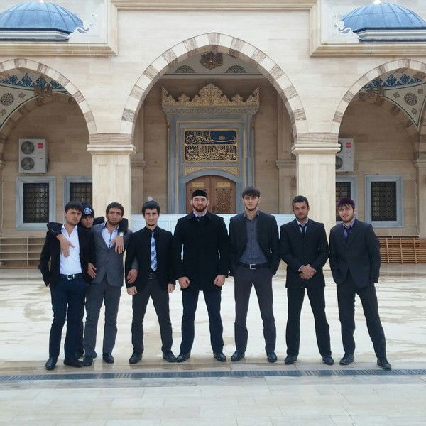 Вист Вито-12