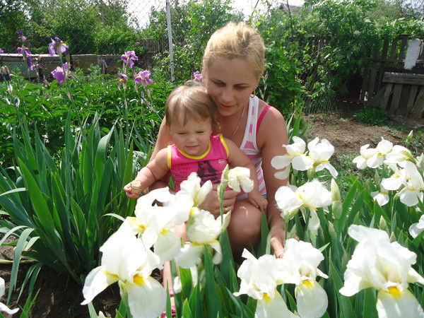 Роза Тетерук