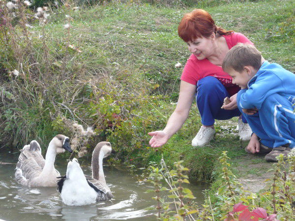 Наталья Повелко