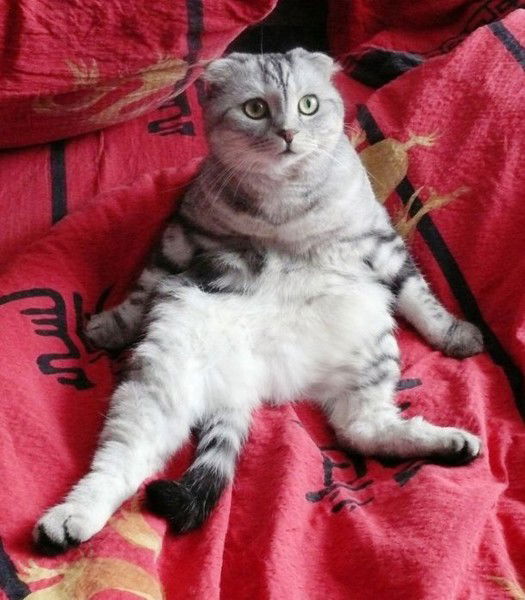 Леха Лямаев