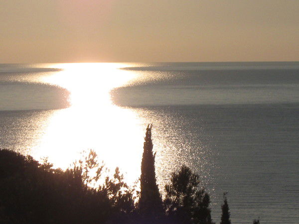 Дмитрий Макаренко