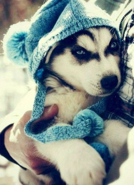 Лидия Безкоровайная