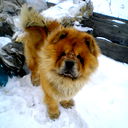 Максим Мамкин