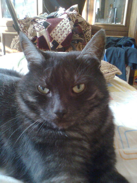 Татьяна Филиппова