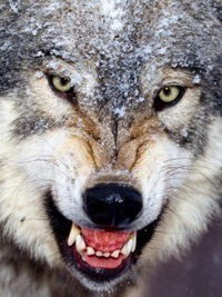 Вадим Астахов