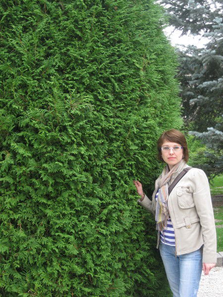 Елена Бутяйкина