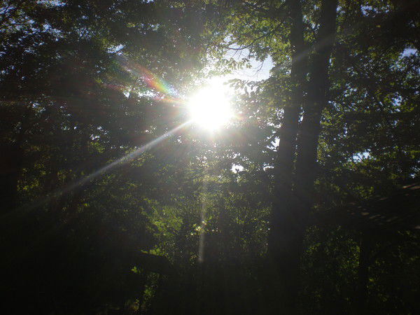 Наталья Андреева