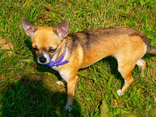 Ева Костюченко