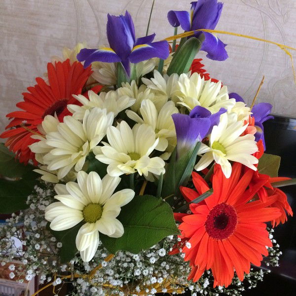 Вероника Морозова