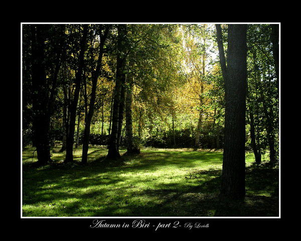 Людмила Роднова