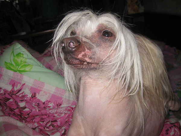 Егоров Сергей