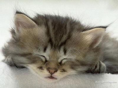 Вера Демидова