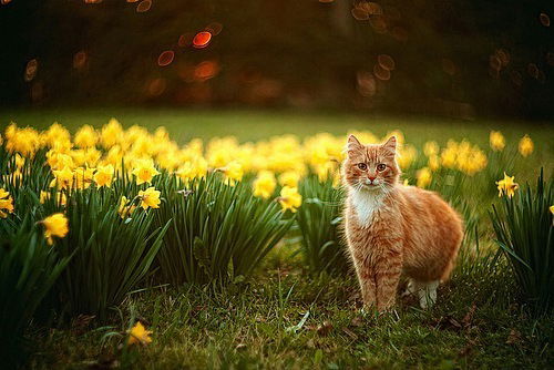 Анастасия Бандурина