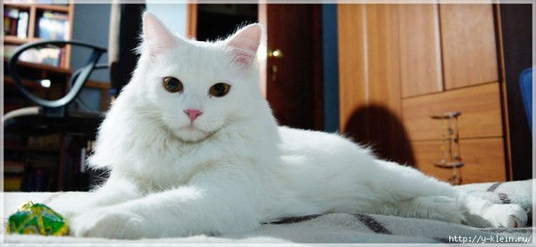 Эва Неизвестно