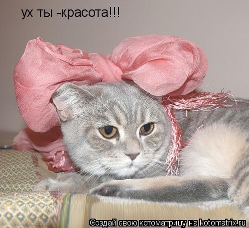 Елена Прокуророва