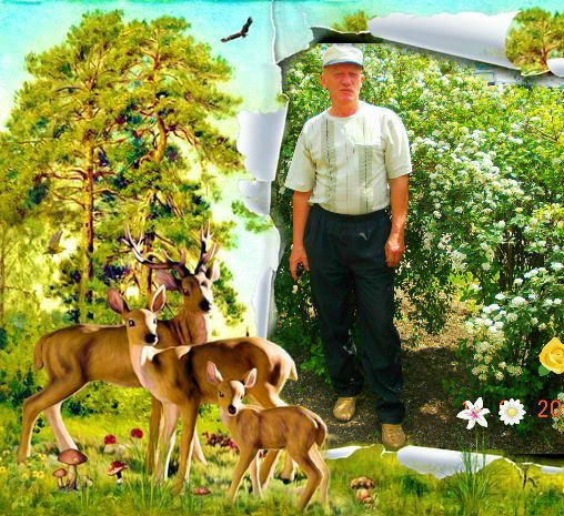 Владимир Воронков