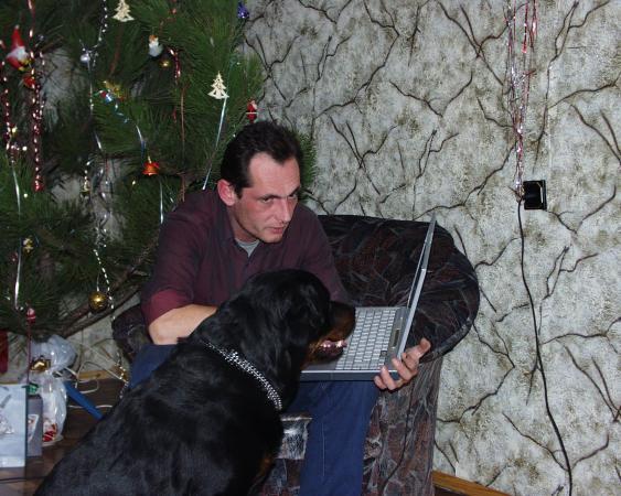 Александр Стук