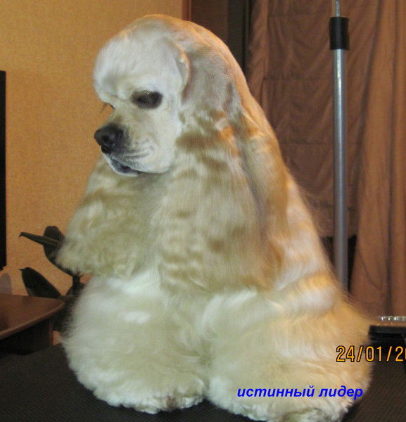 Наталья Верина