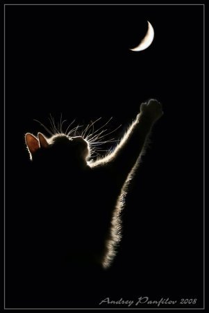 Кристина Шиндлер