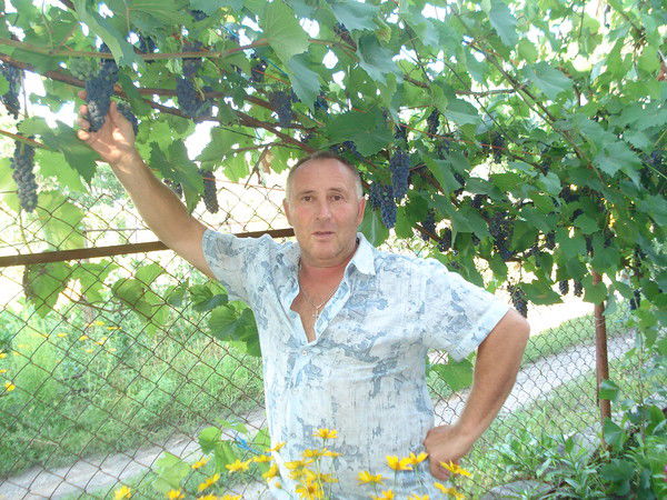 Геннадий Фомин