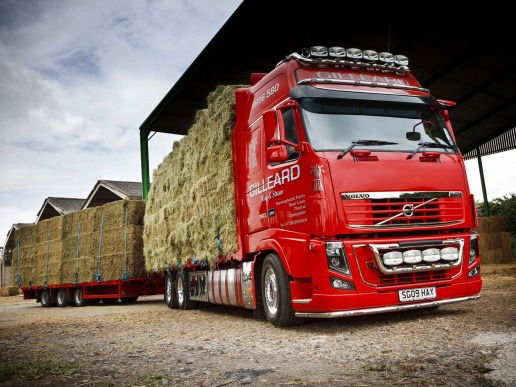 Алексей Кулюкин