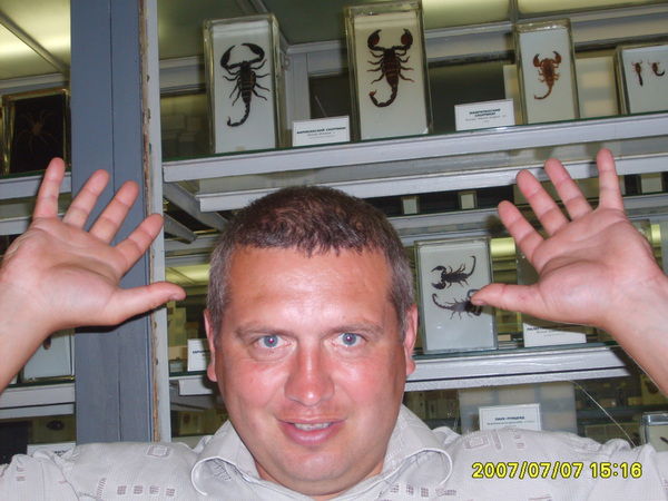 Андрей Солодовников