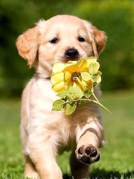 Анна Надеждина