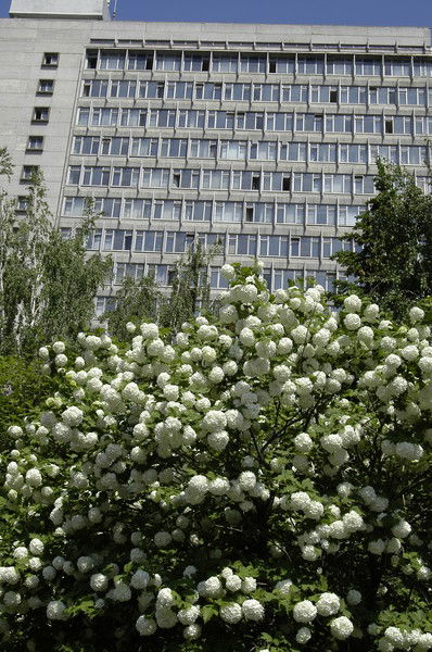 Гузалия Загирова